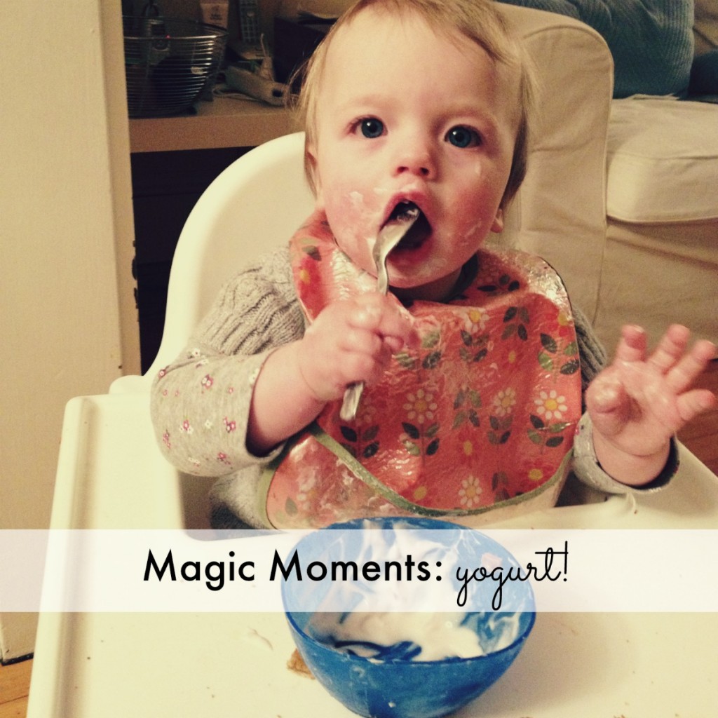 Magic Moments Yogurt