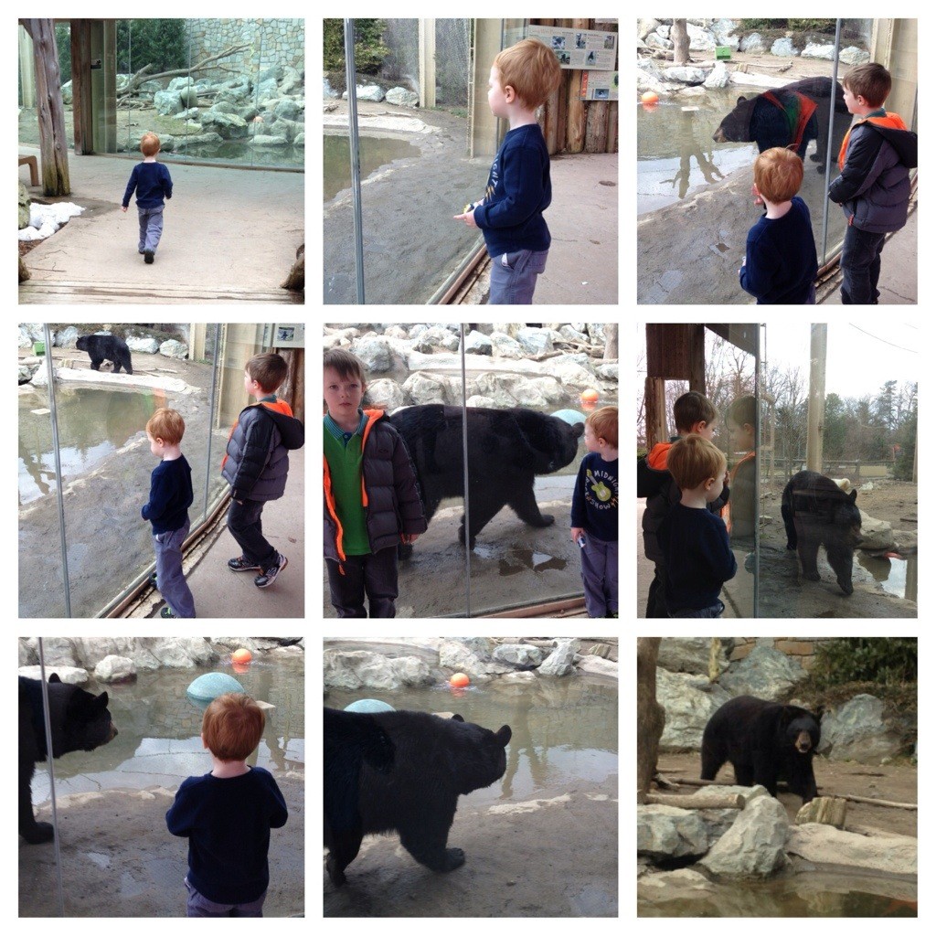 Trip to the zoo 2