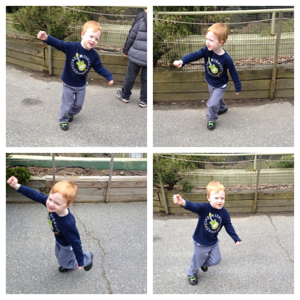 Trip to the zoo 6