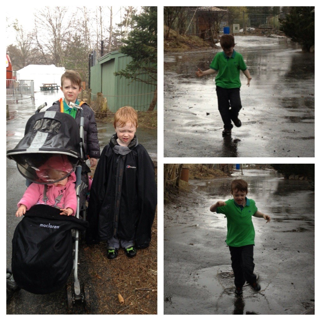 Trip to the zoo 7