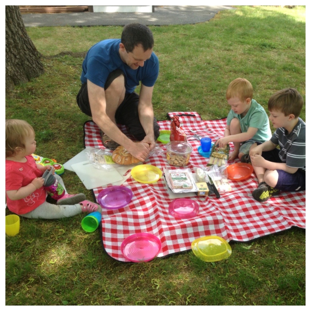 First Picnic 1