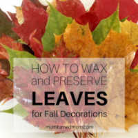 How to Wax and Preserve Leaves for Fall Decorations - Related