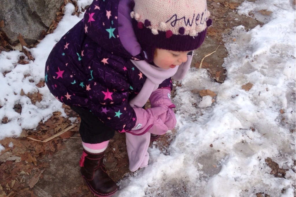 20140128-194616.jpg