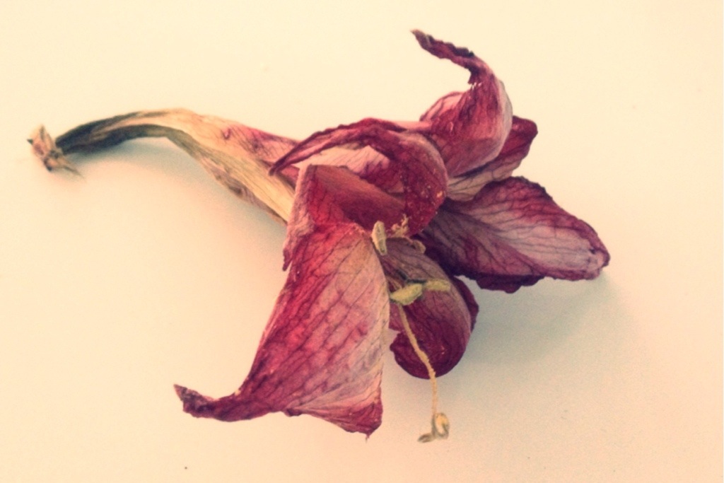 20140227-214603.jpg