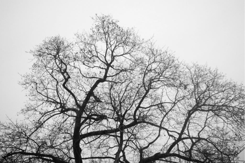 20140310-214722.jpg