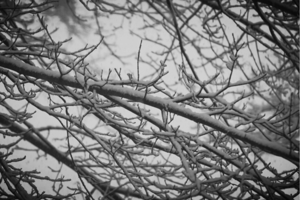 20140310-214738.jpg