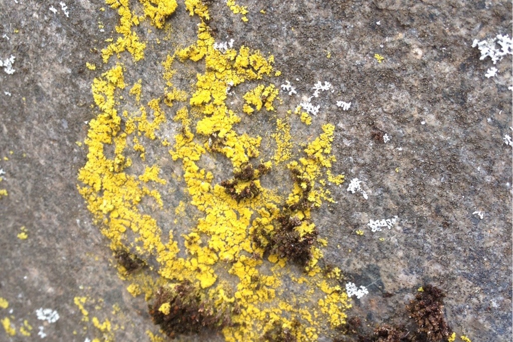 20140404-190403.jpg