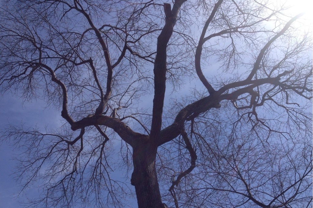 20140412-133700.jpg