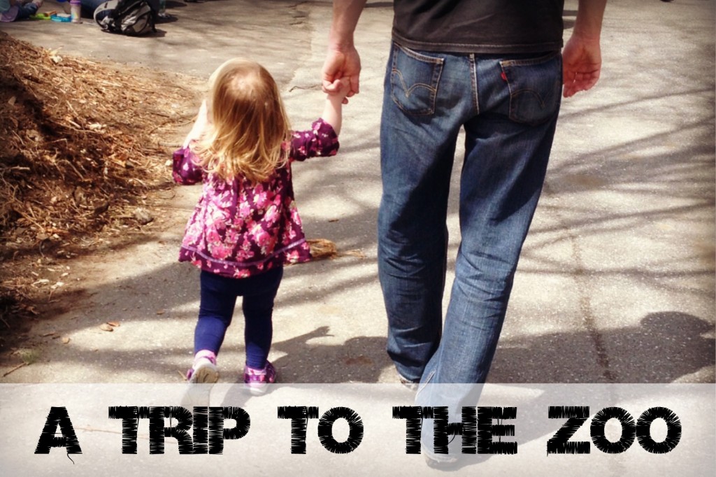 A-Trip-to-the-Zoo
