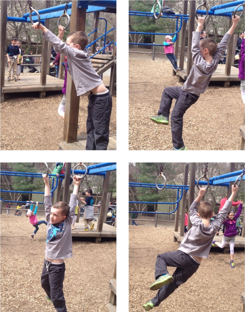 The-Zoo-11