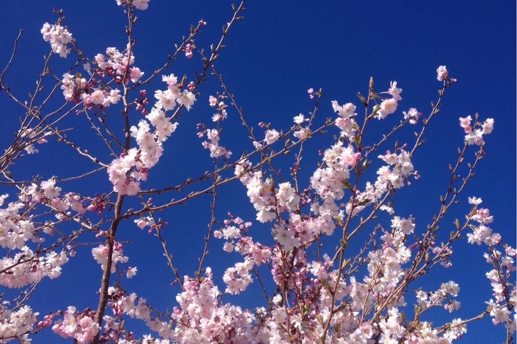 20140503-154248.jpg