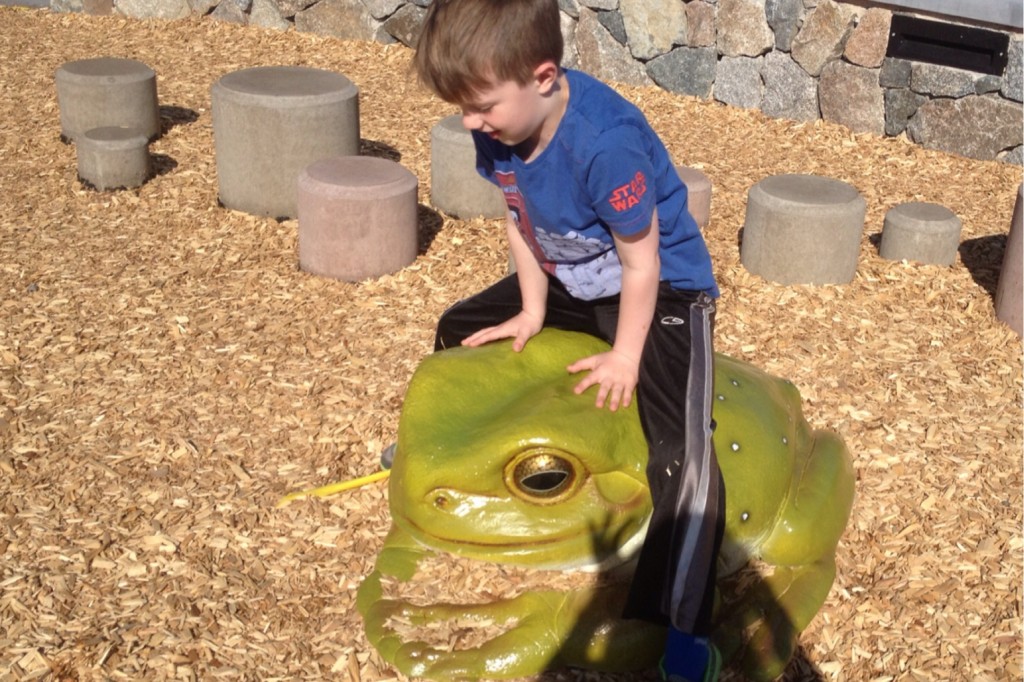 Frog 1