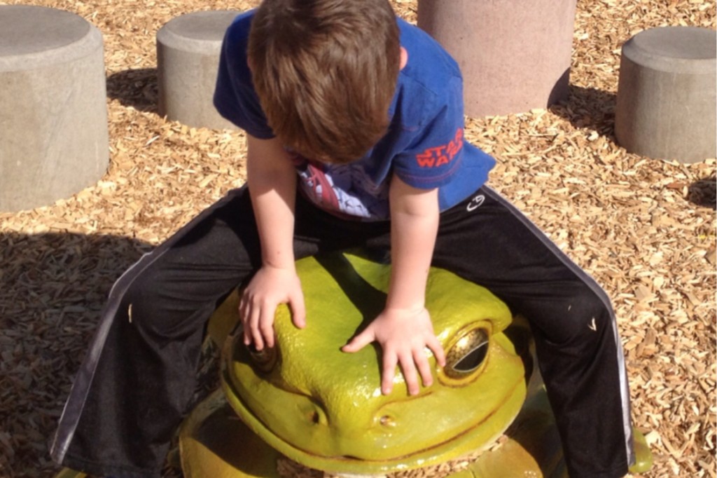 Frog 2