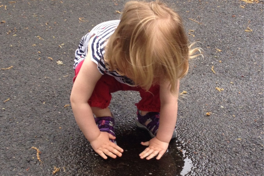 Puddles 1