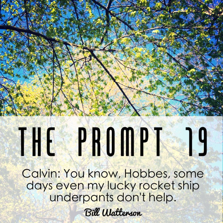 The Prompt 19: Life's little limitations