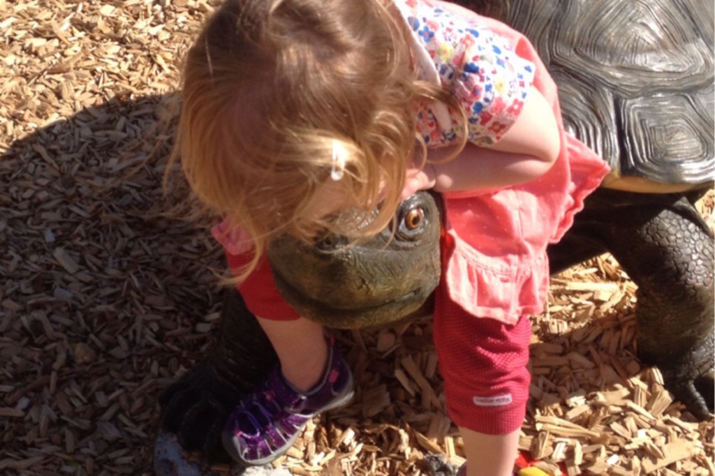 Turtle 4