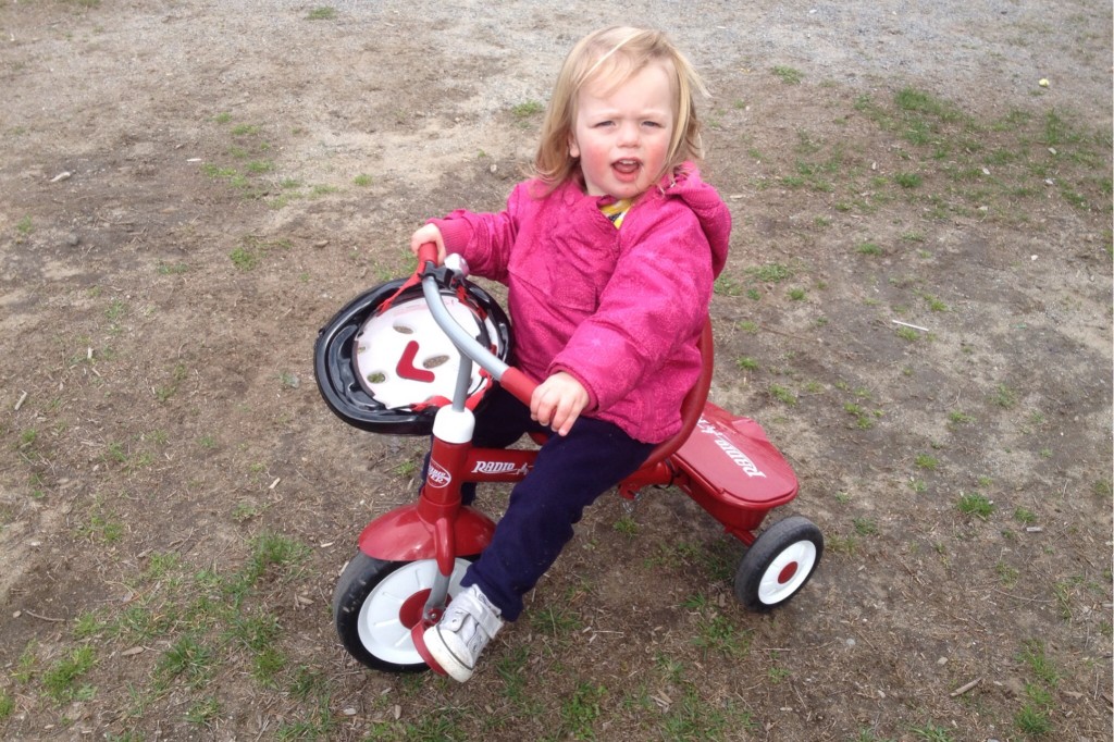 the tricycle