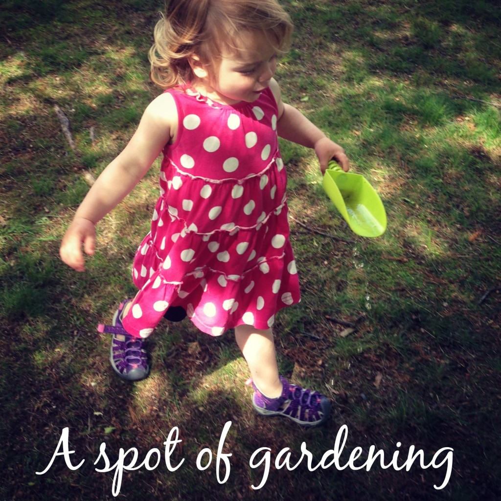 A spot of gardening