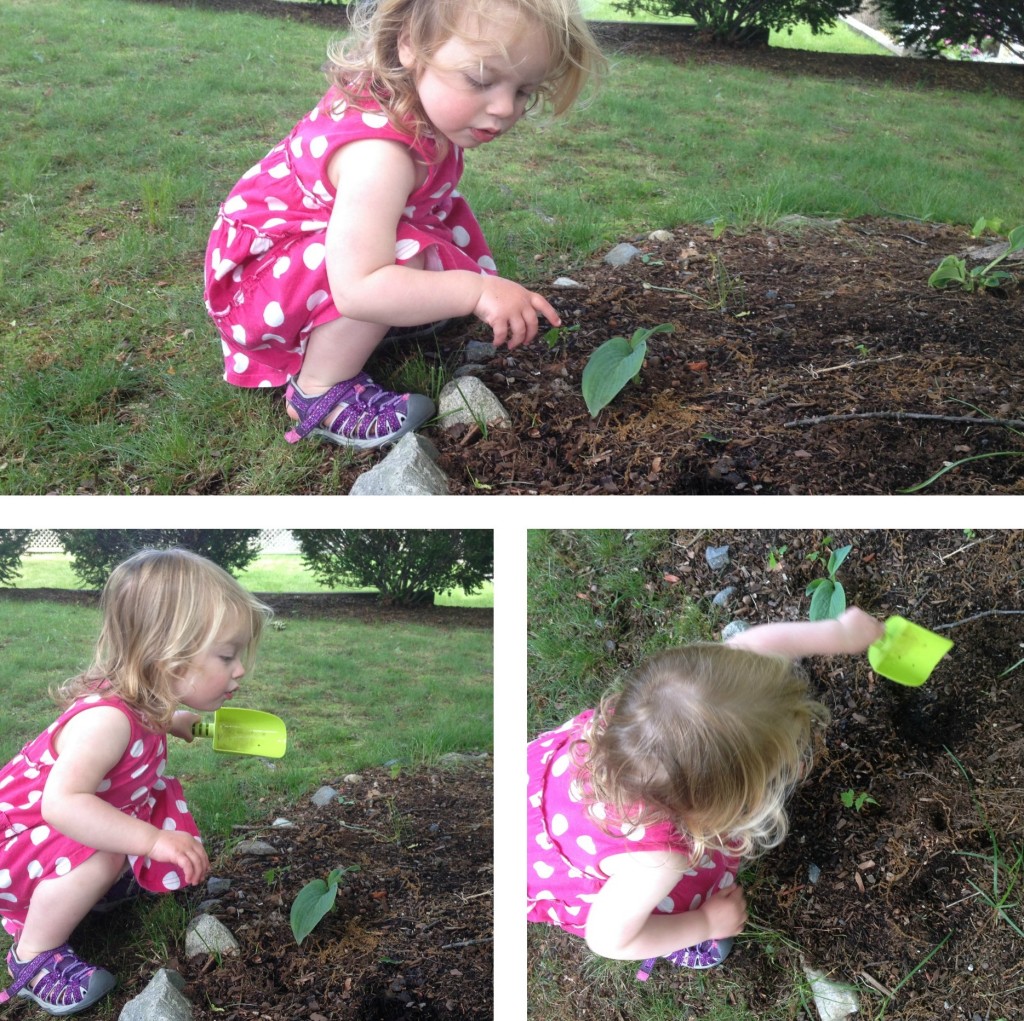 Gardening 2