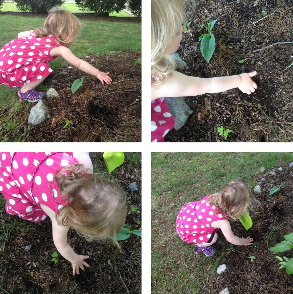 Gardening 3