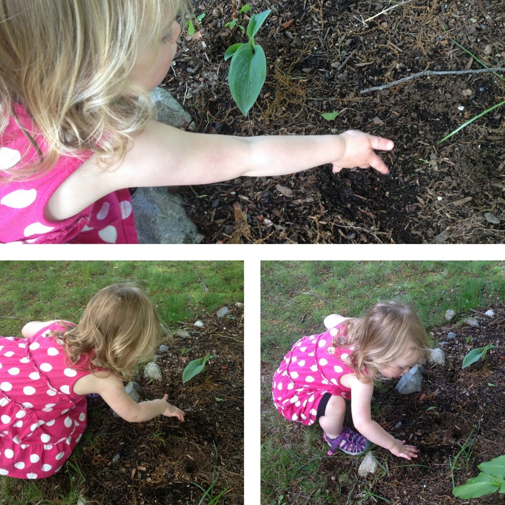 Gardening 4