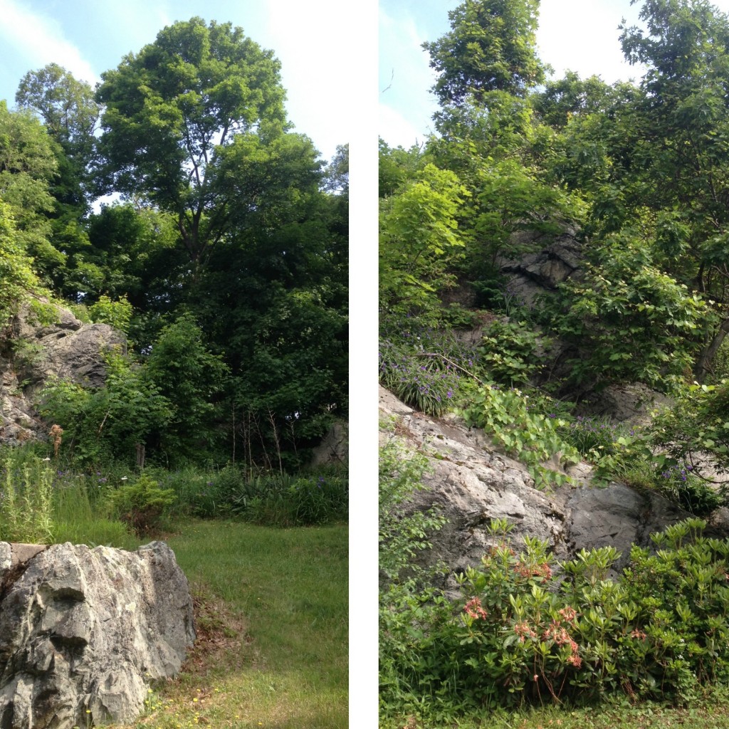 Garden Collage 4