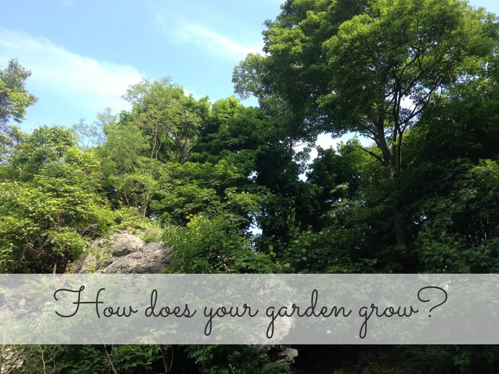 How does your garden grow 140724