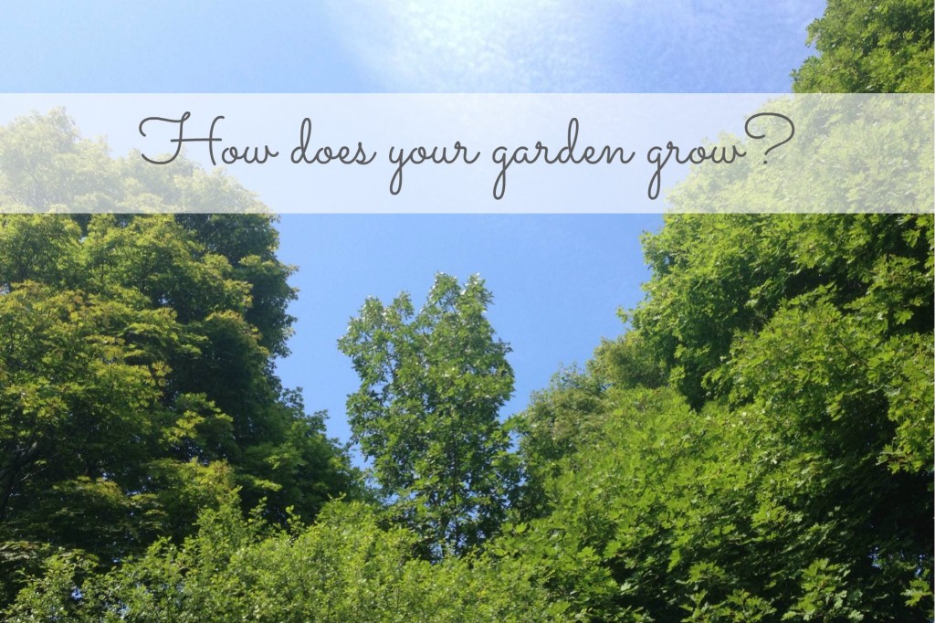 How does your garden grow 140806