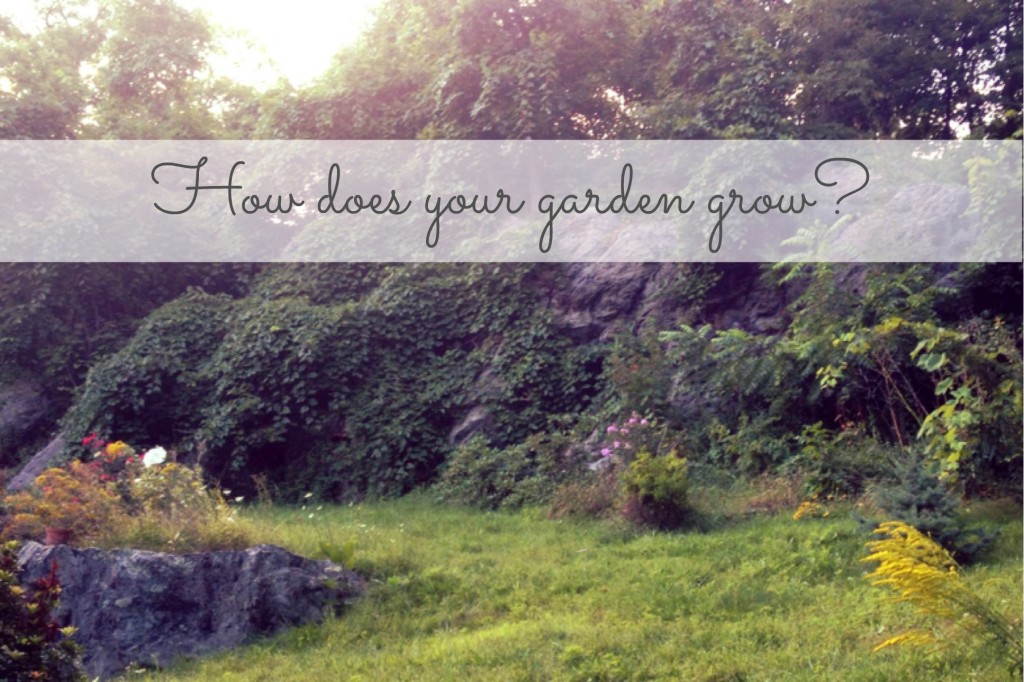How does your garden grow 140821