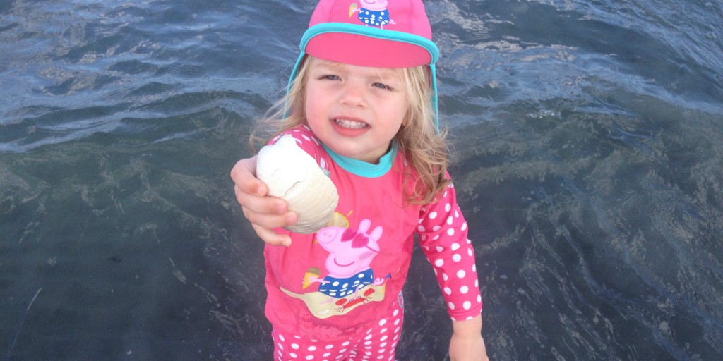 Shell