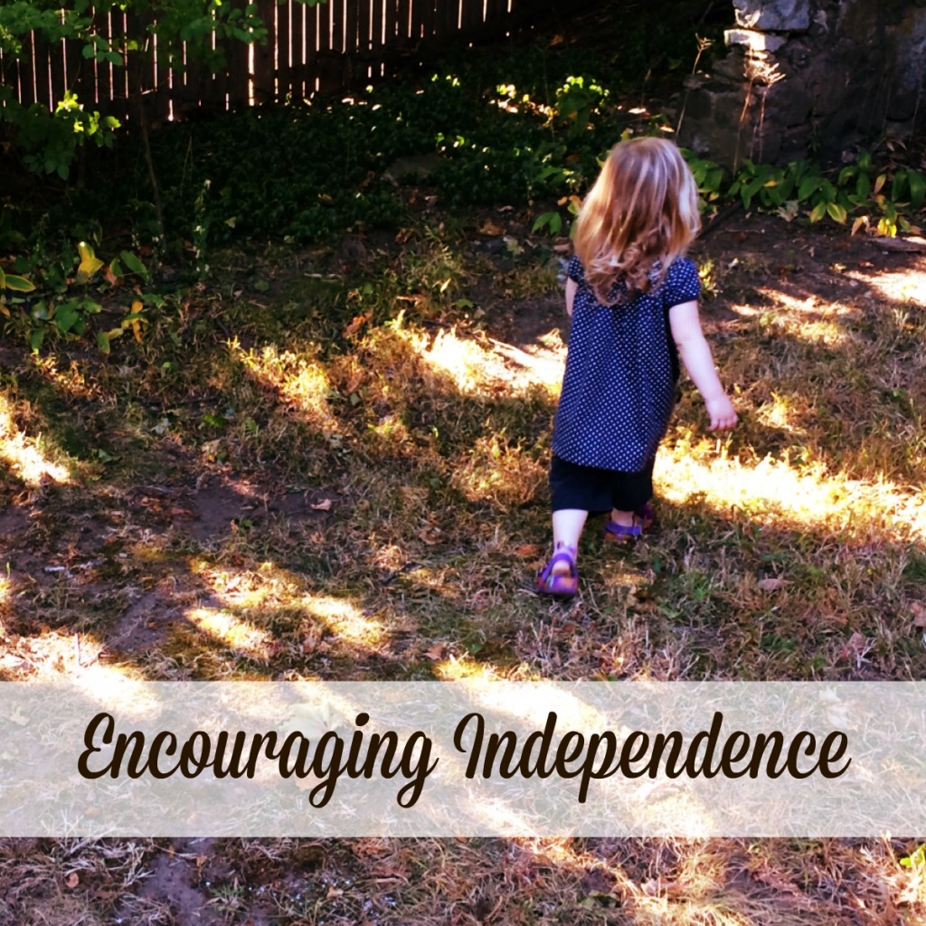 Encouraging Independence