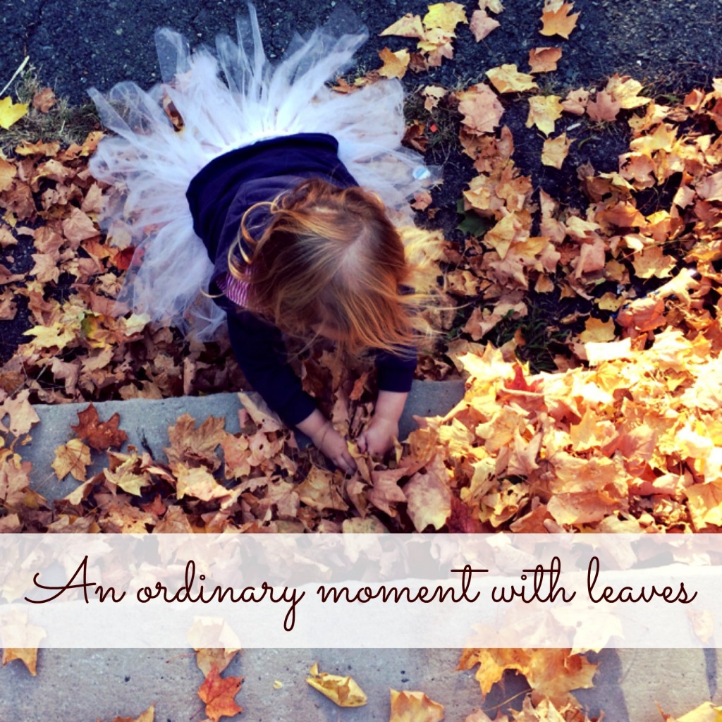 An Ordinary Moment with Leaves