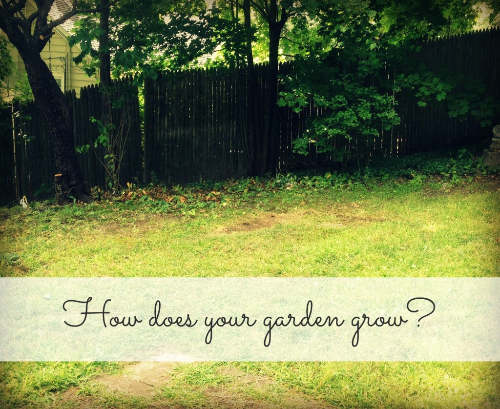 How does your garden grow 141015