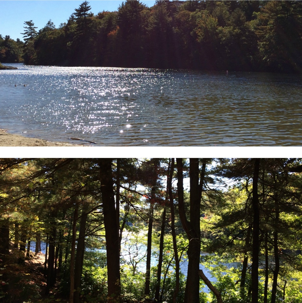 Lake Views 1