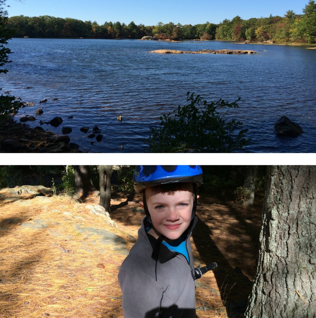 Lake Views 2
