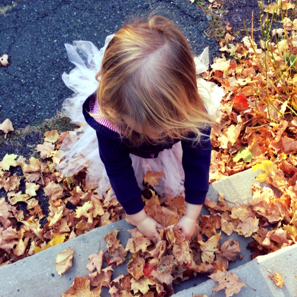 Leaves 1