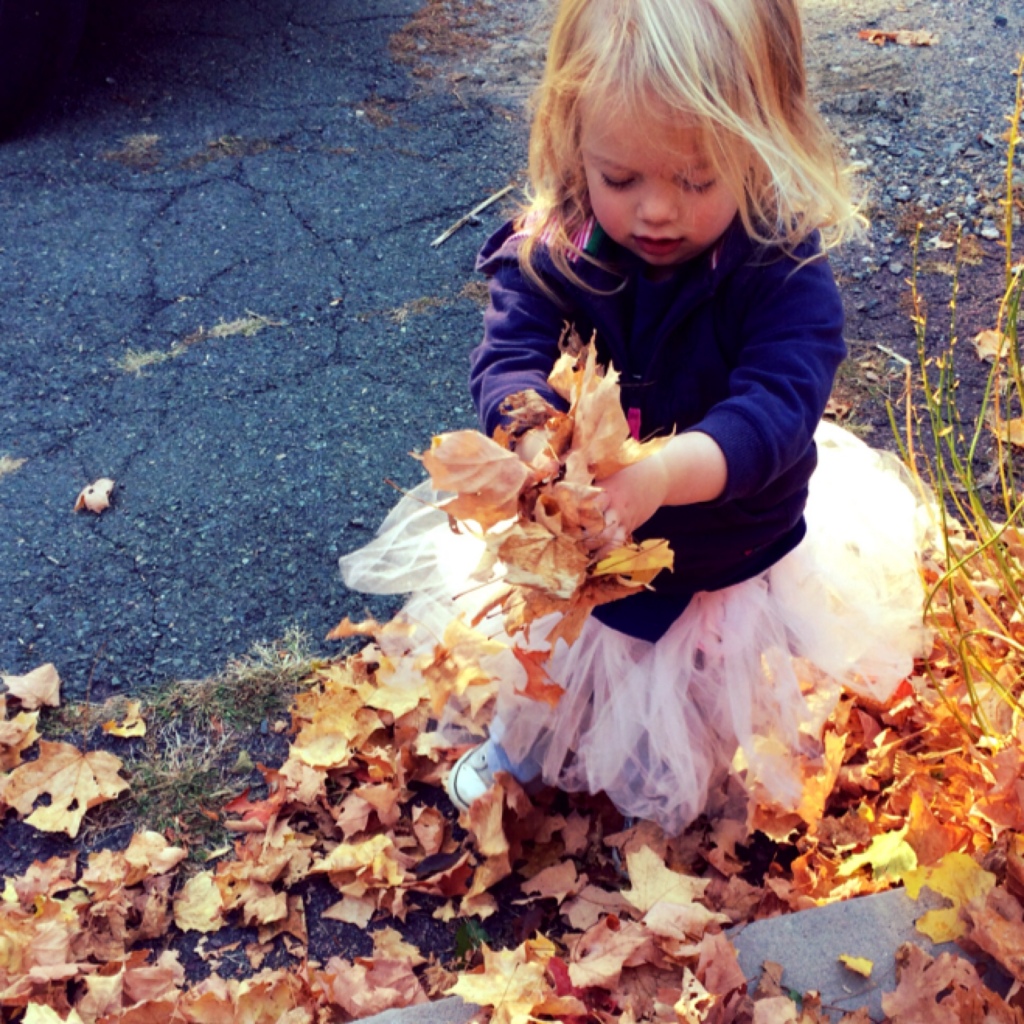 Leaves 3