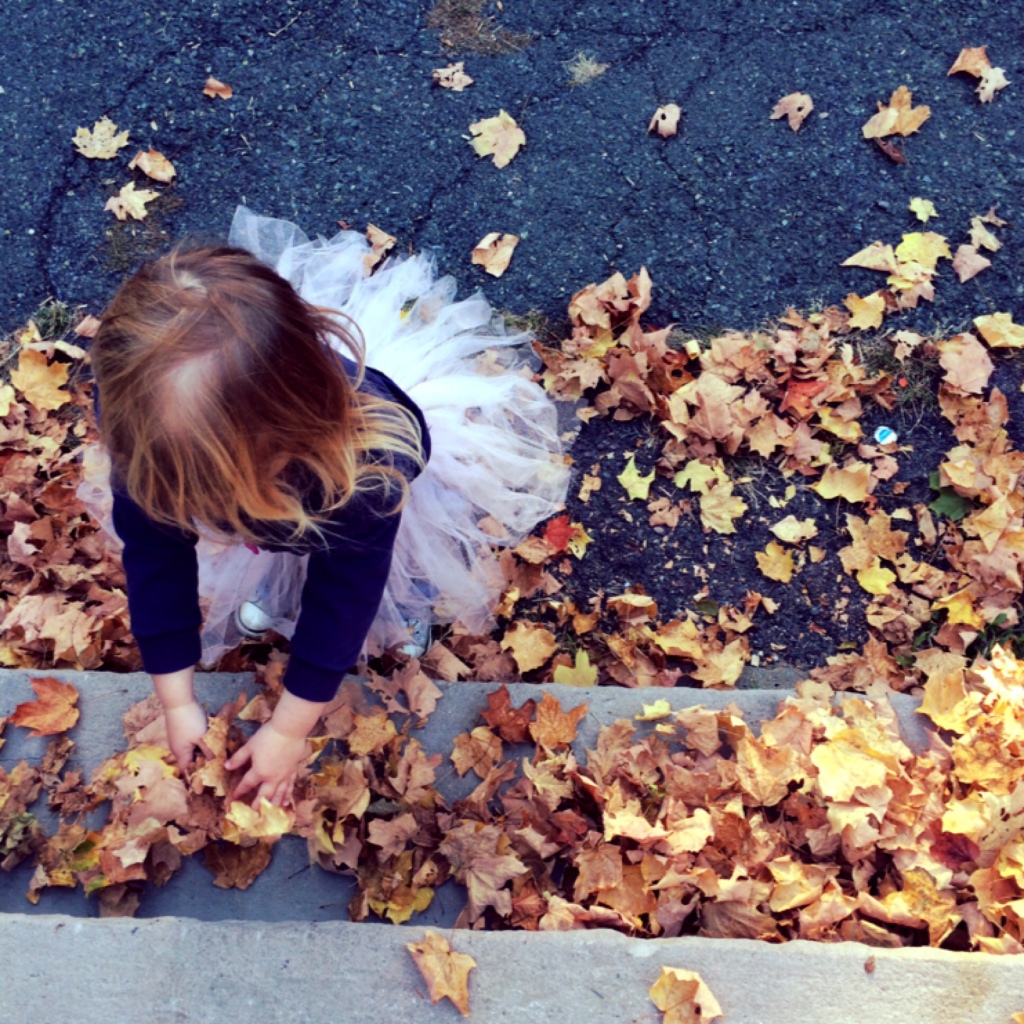 Leaves 4