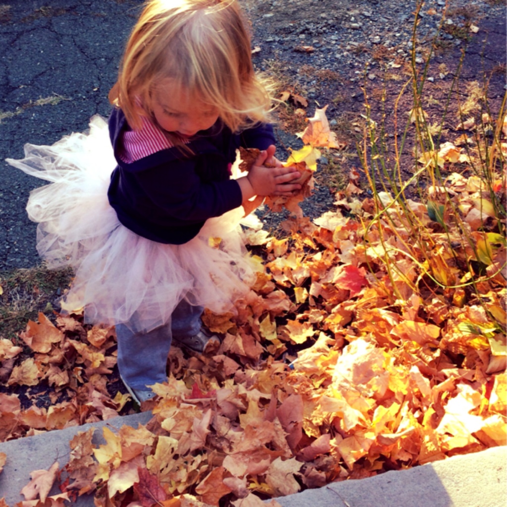 Leaves 5