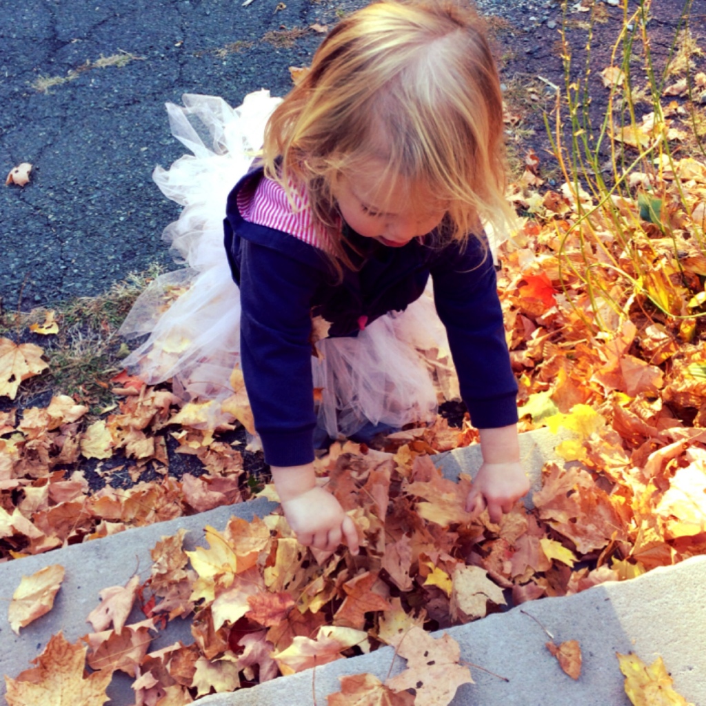 Leaves 6