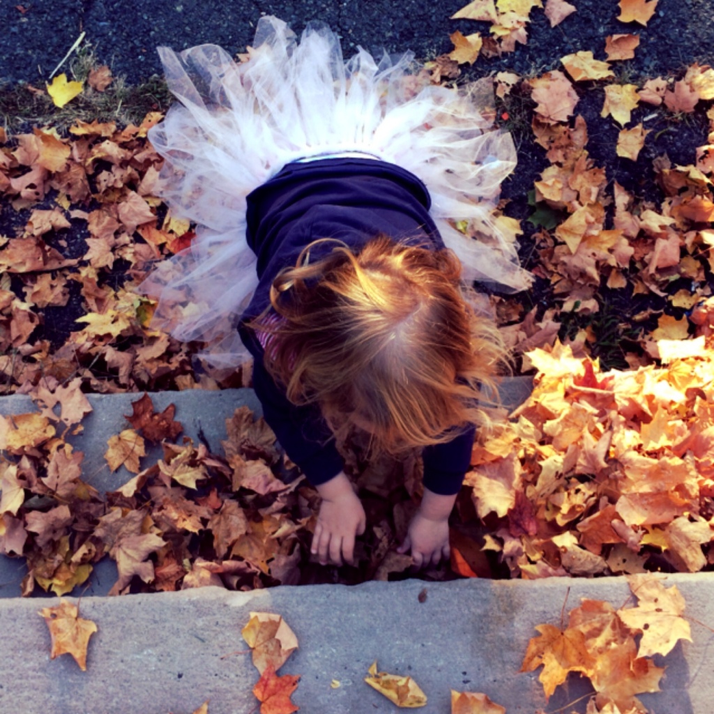 Leaves 7