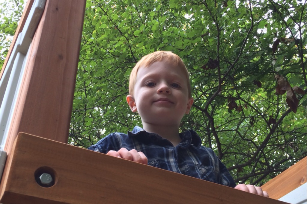 Play Structure 3