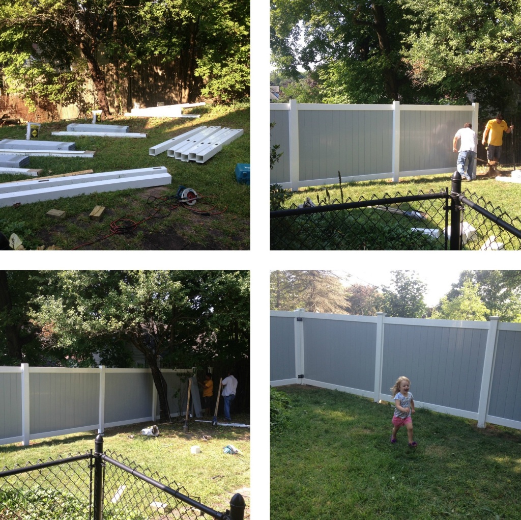 The Fence