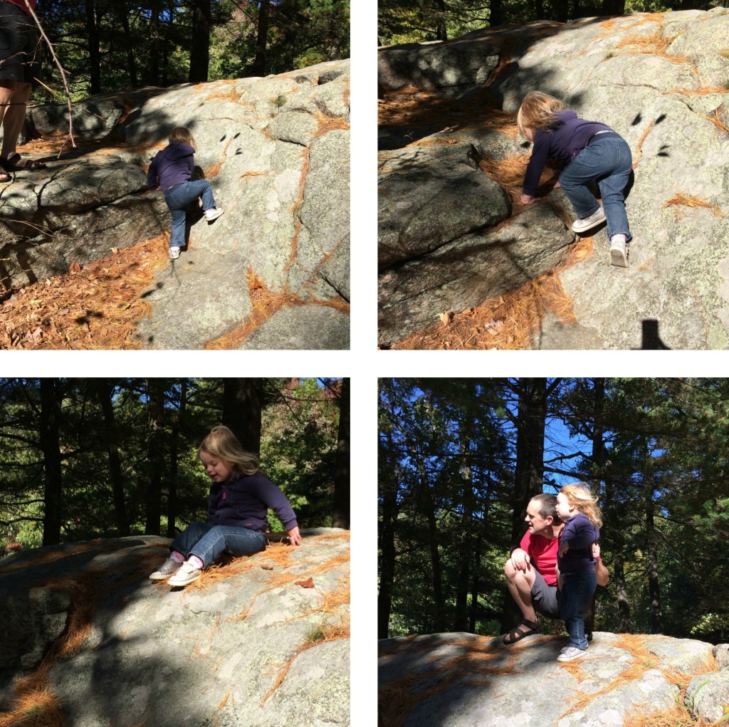 The Rock 2