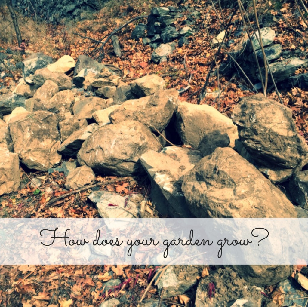 How does your garden grow 141126