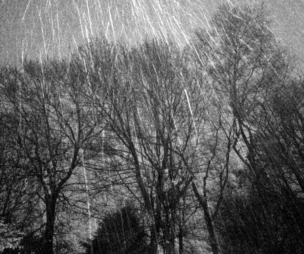 Snowy Night