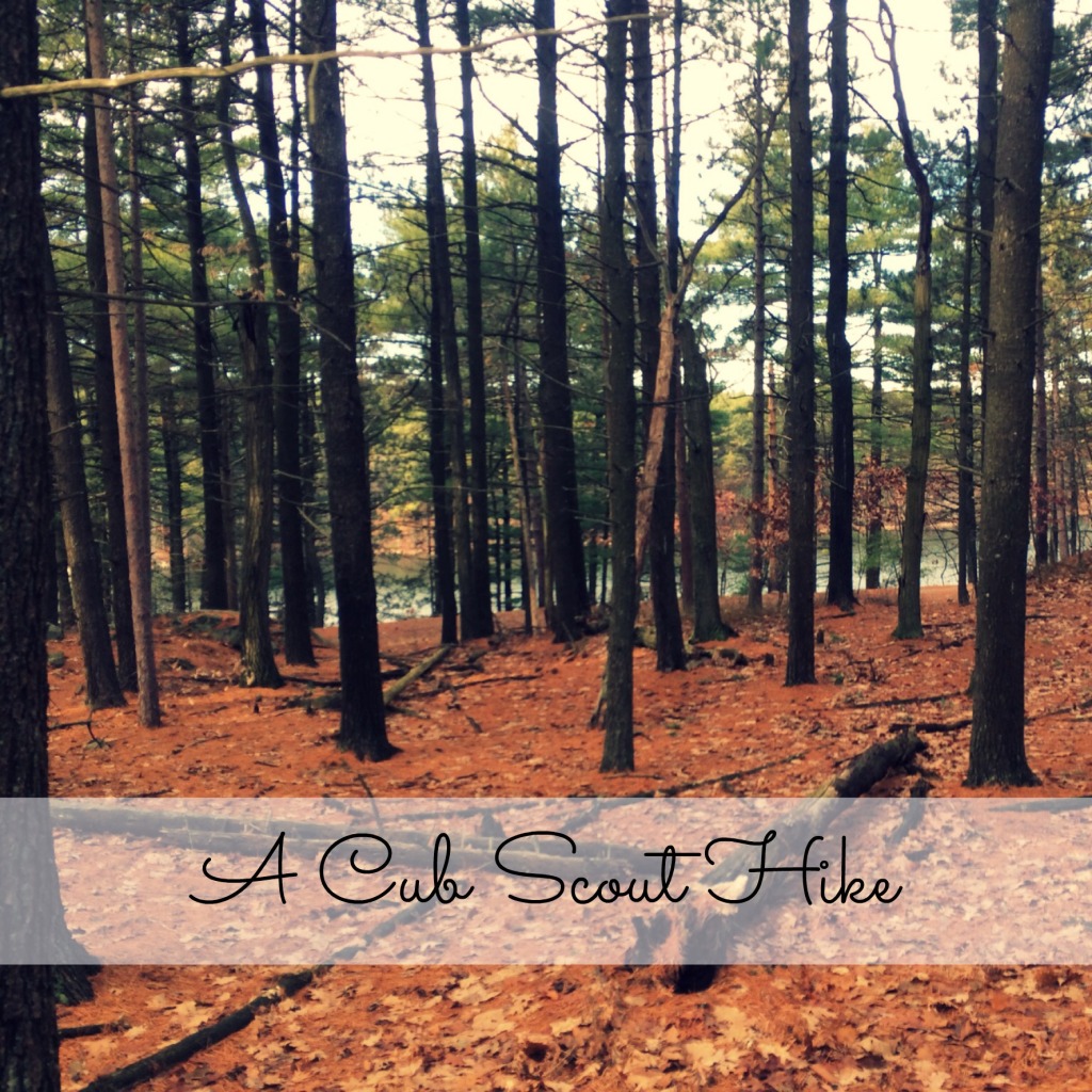 A Cub Scout Hike