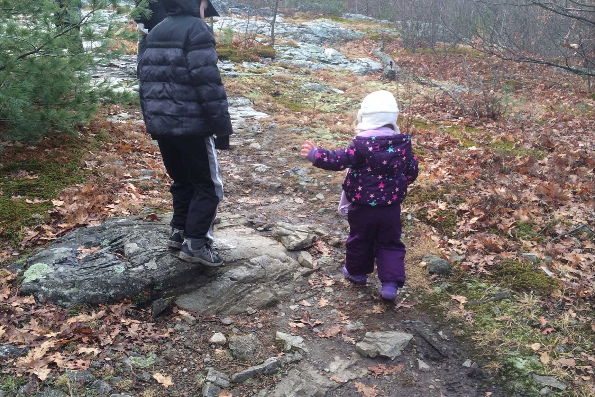 IMG_3883.JPG