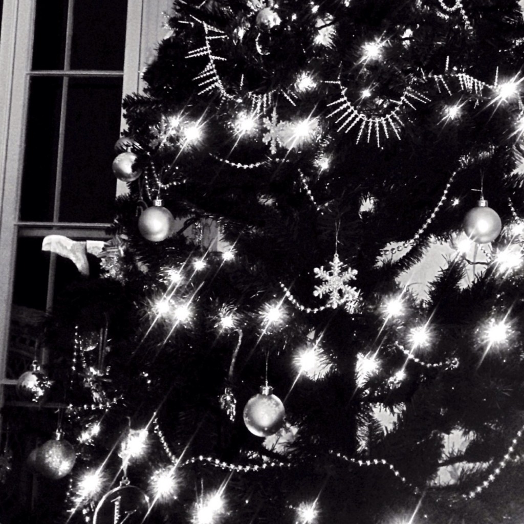 150104 Christmas Tree
