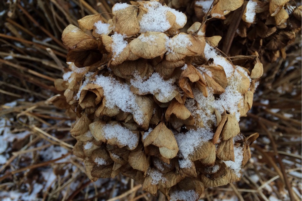 Light Snow 6